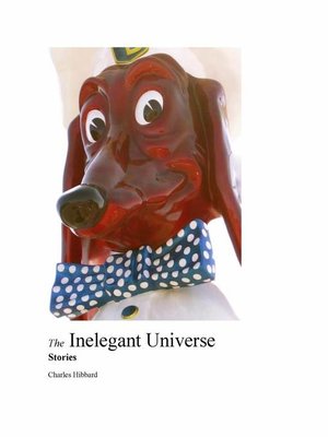 cover image of The Inelegant Universe